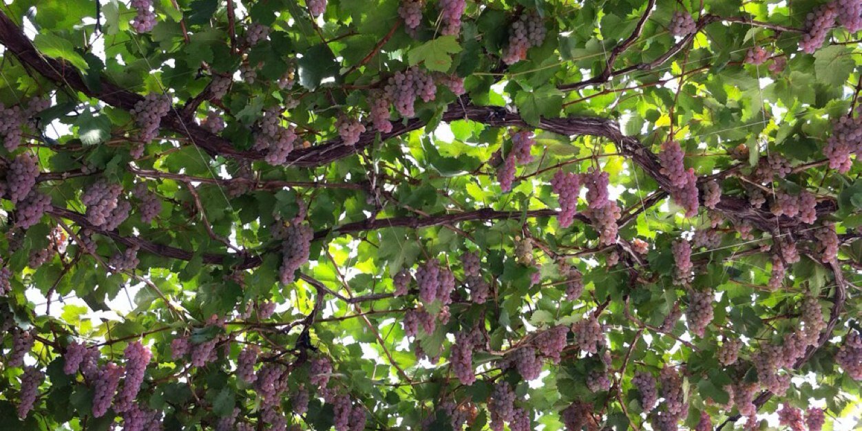 FernandScre's profile banner image