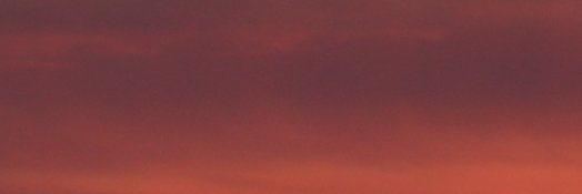 jjongrani's profile banner image