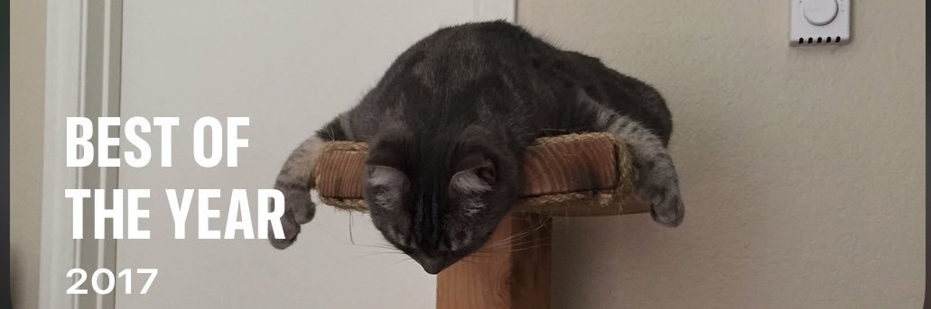 DoctorCoitus's profile banner image