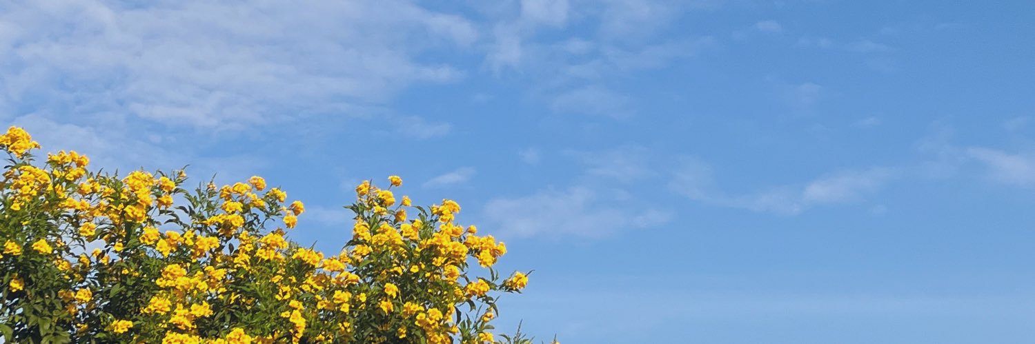 Ordinary life banner
