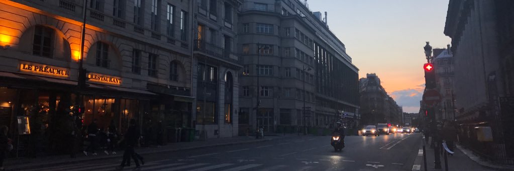 reginacarrilo's profile banner image