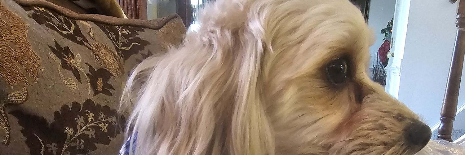 Letesha_Clarke's profile banner image