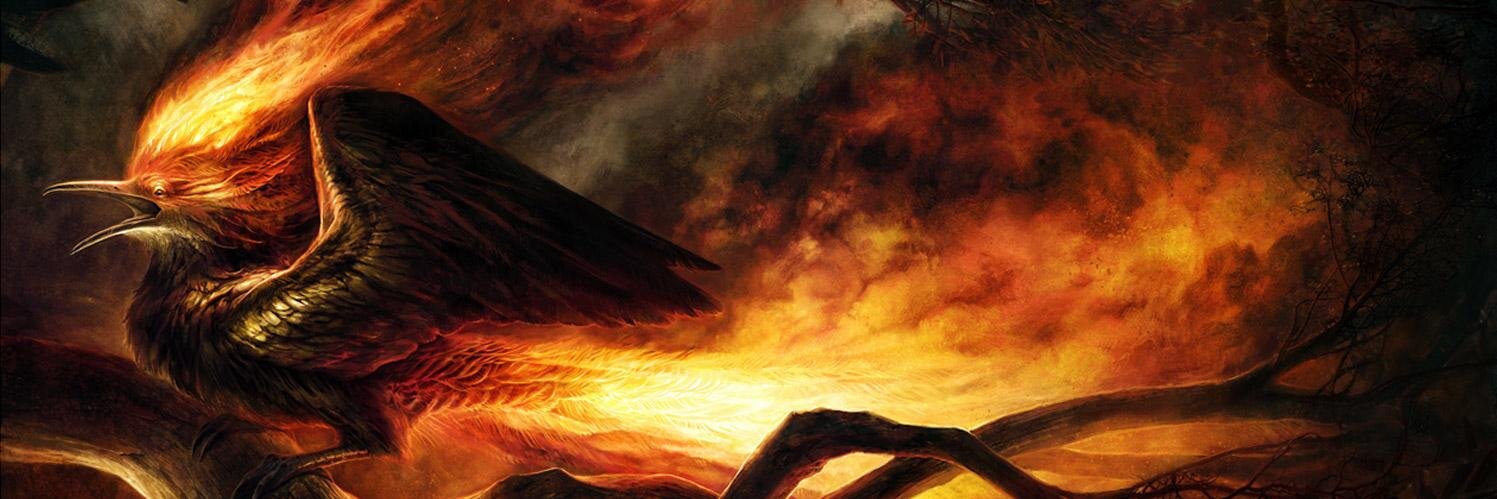 thephoenixbird's profile banner image