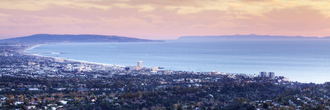wpmla's profile banner image