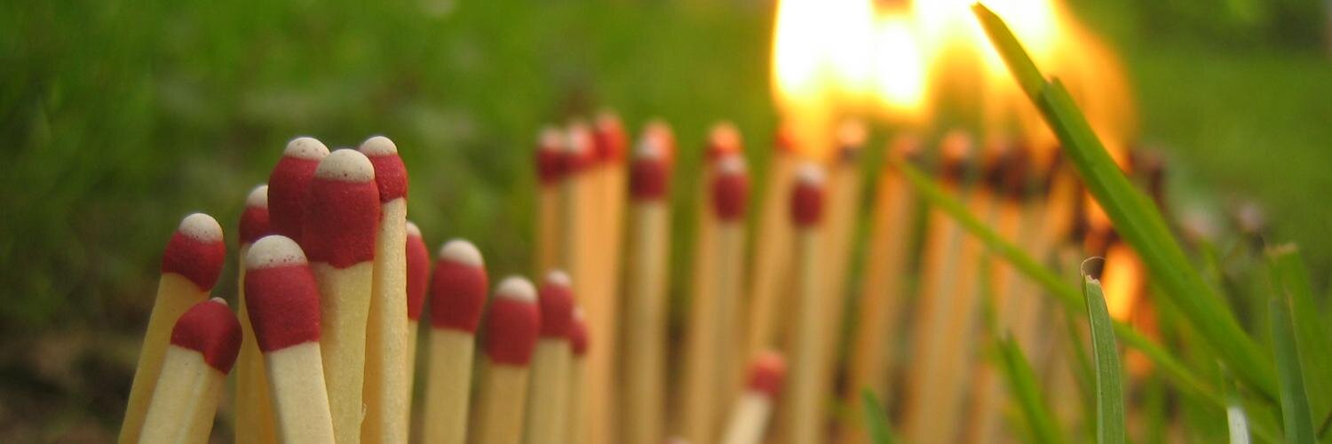 Vincent Scheib banner