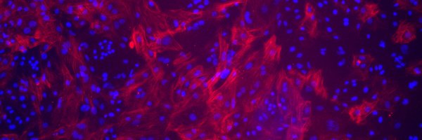 JimPritchett Profile Banner