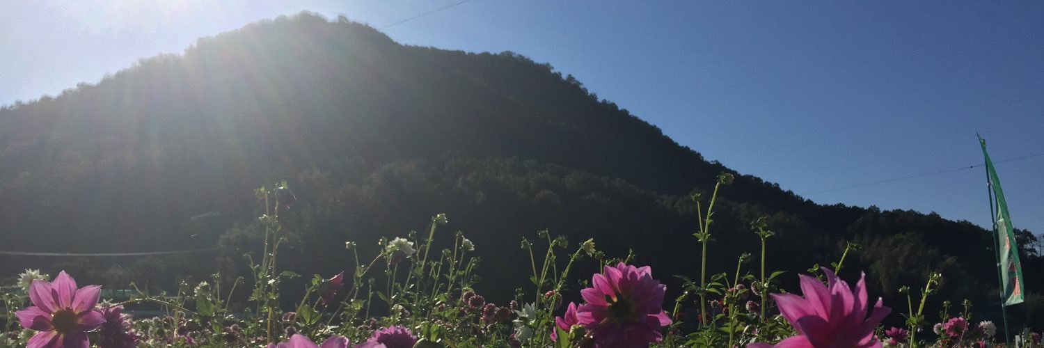 nichikaaa's profile banner image