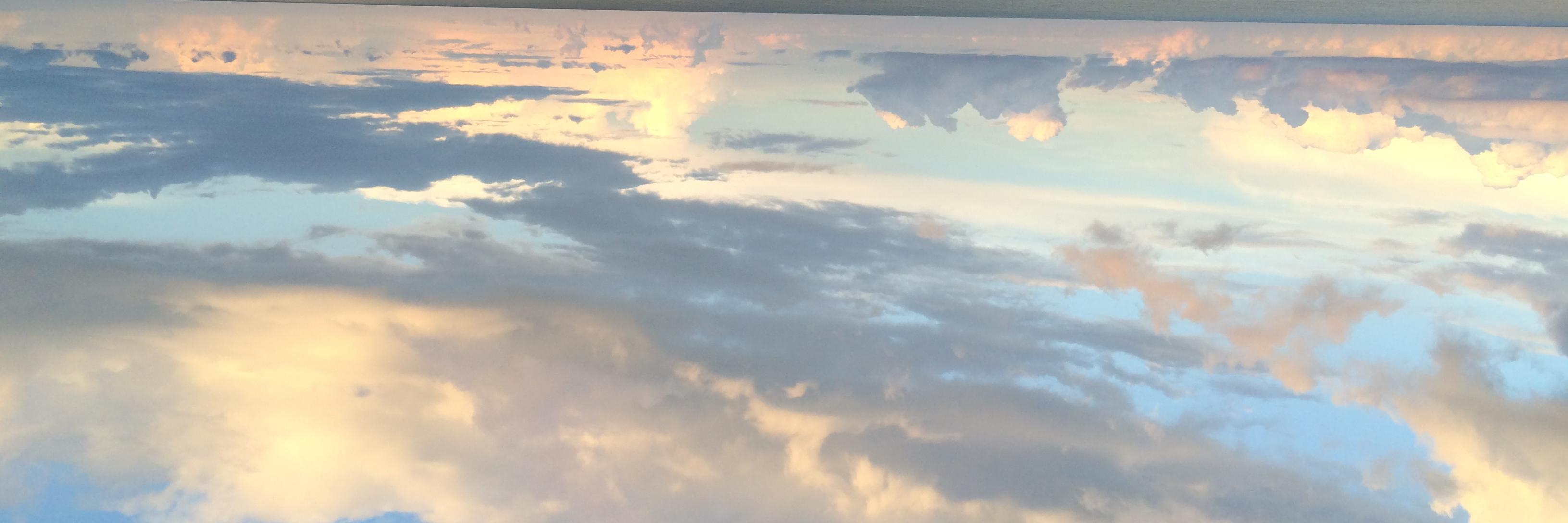 EllenLicking's profile banner image
