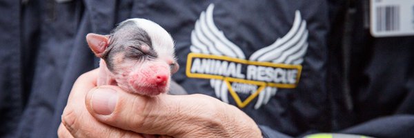 ARCorps Profile Banner