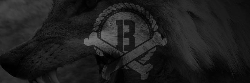 elbryanto's profile banner image