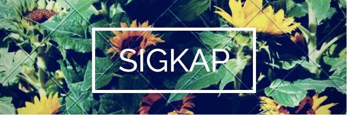 Sigma Kappa Rutgers banner