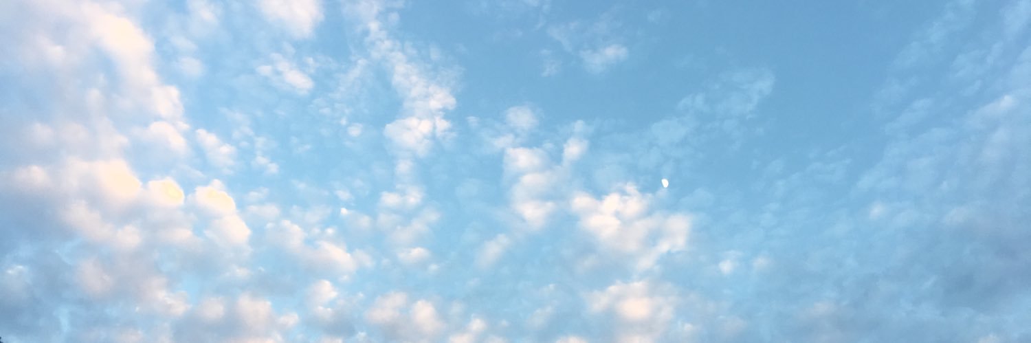 firefly763's profile banner image