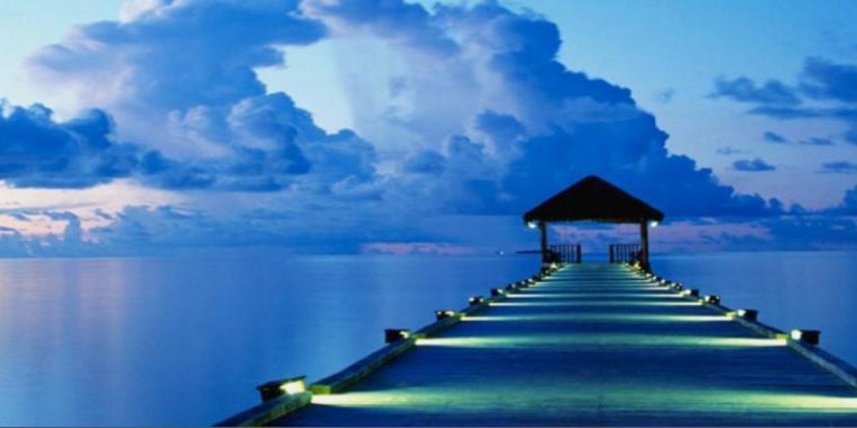 _Dalidaaa's profile banner image