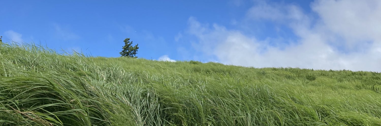 maumau223's profile banner image