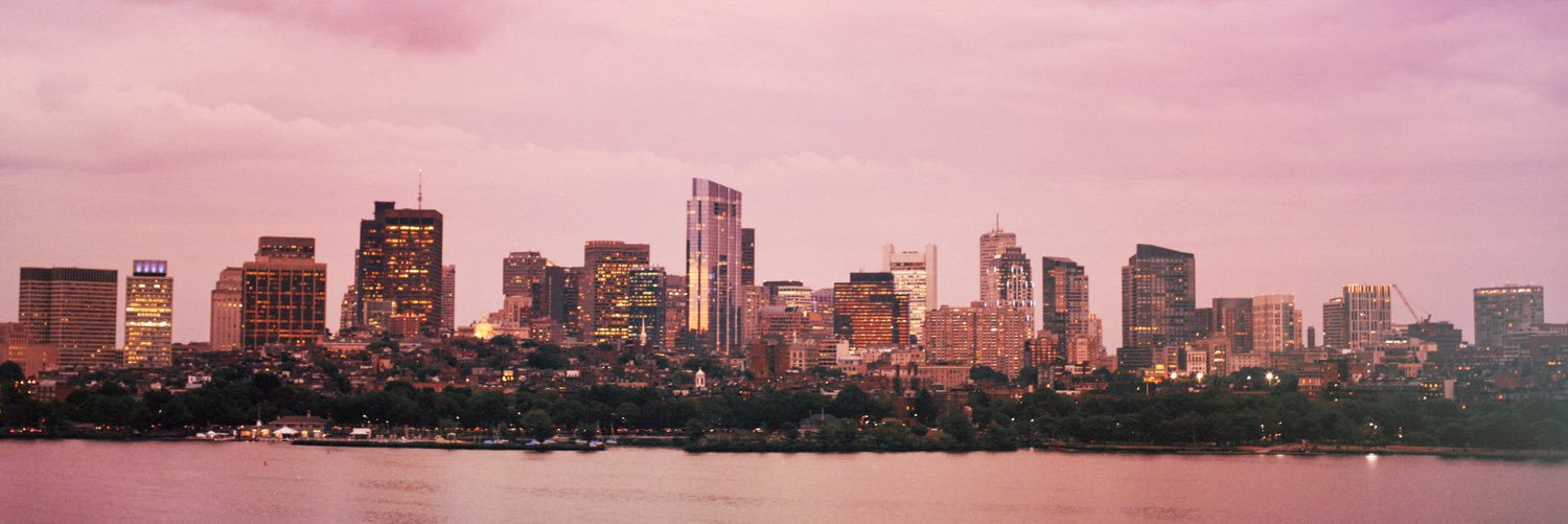 Alicia Collins banner