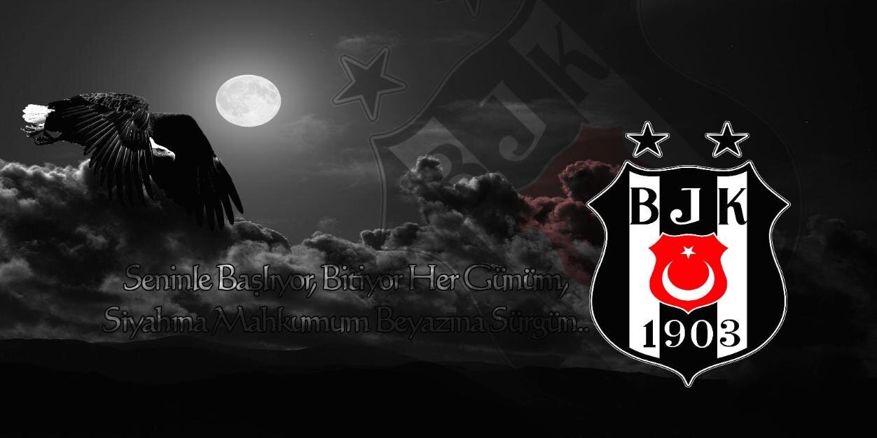 drcevirgen's profile banner image