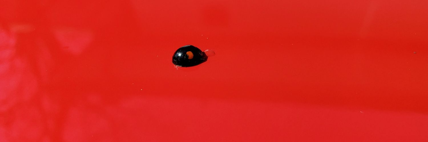 KSHATORIYA_'s profile banner image