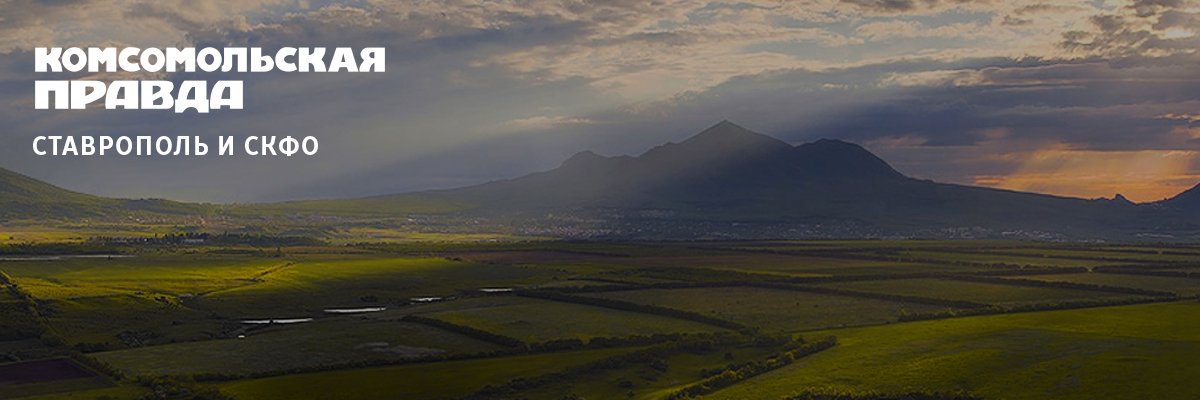 StavKP's profile banner image