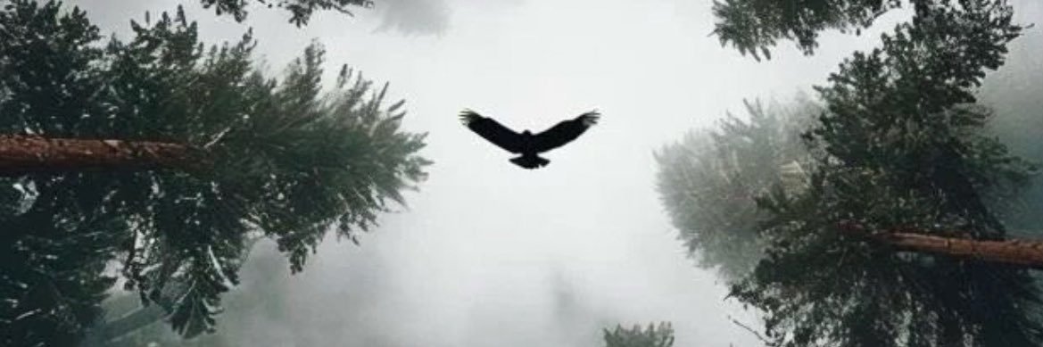 mhmtGOKTAS's profile banner image