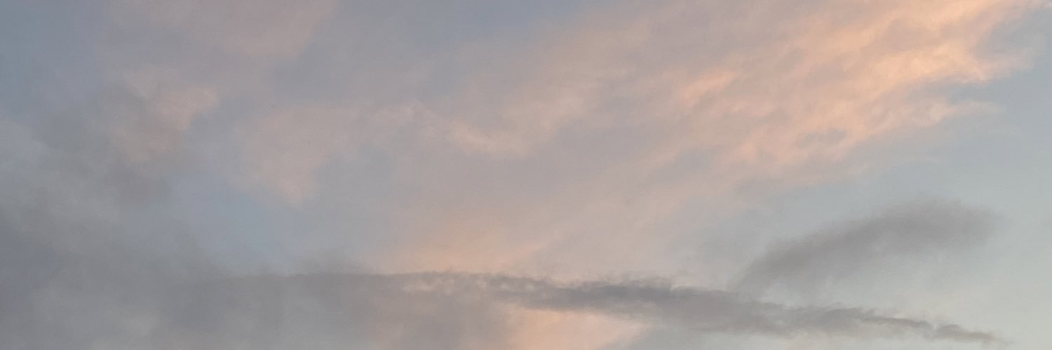 arwspeedy's profile banner image