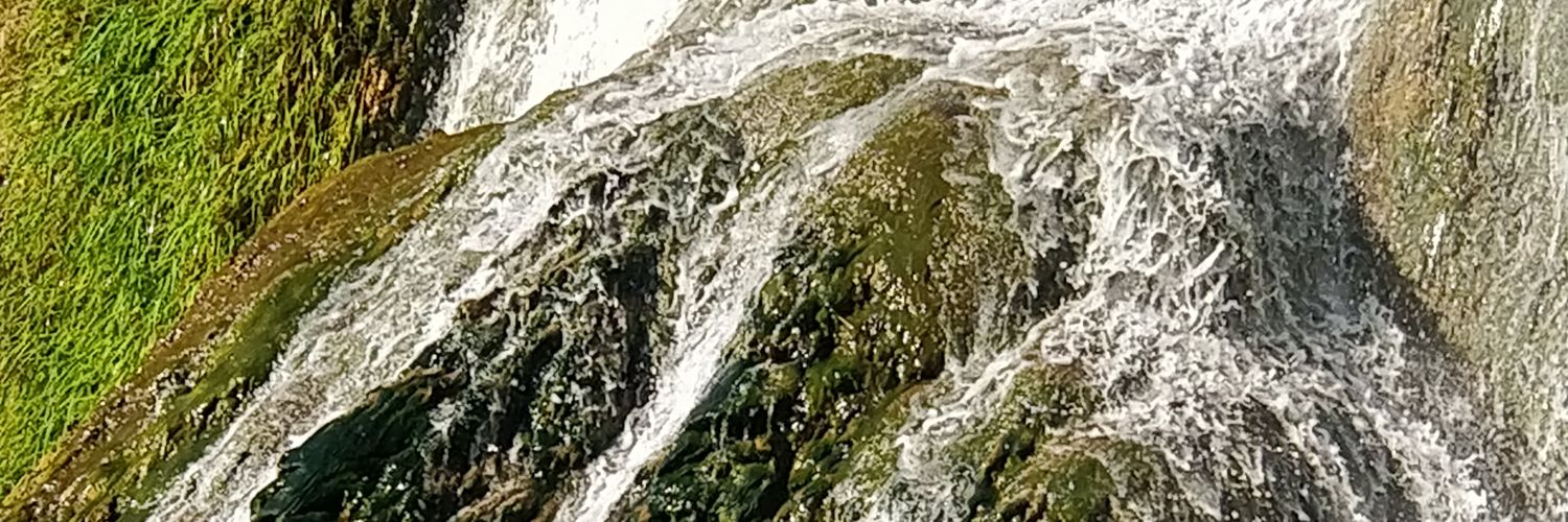 Patrick Manuelli banner