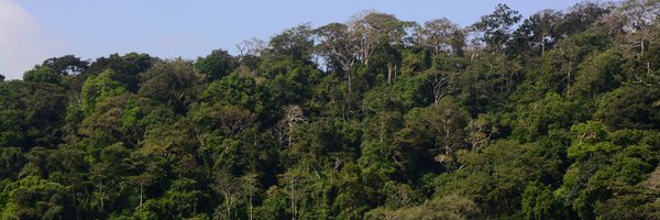 fungomariah Profile Banner