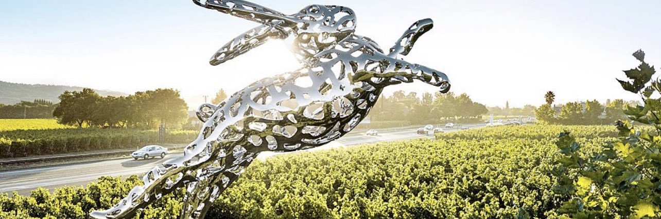 HALL Wines banner