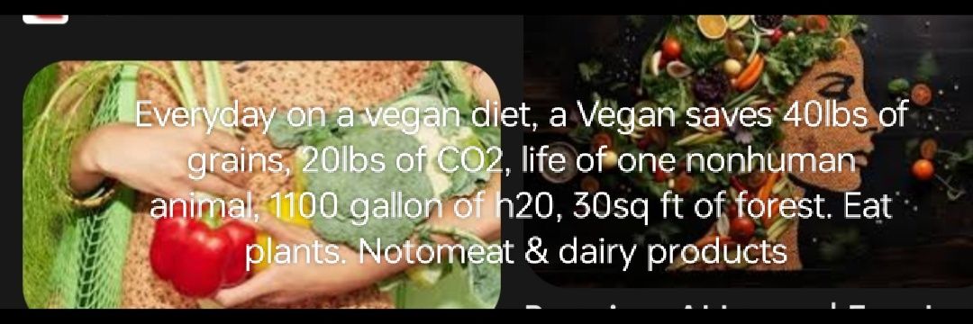 Compassionate Vegan for non human animals🌱 banner