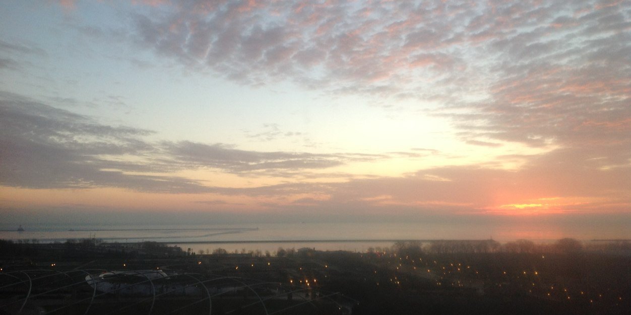 Anne Leary🌲 banner