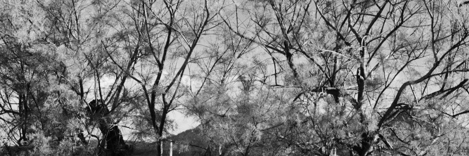 CalumDavey's profile banner image