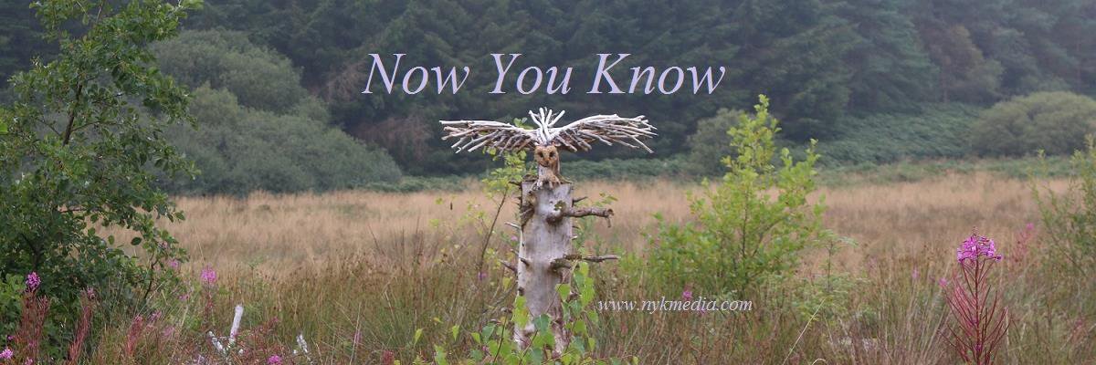 NYKMedia's profile banner image