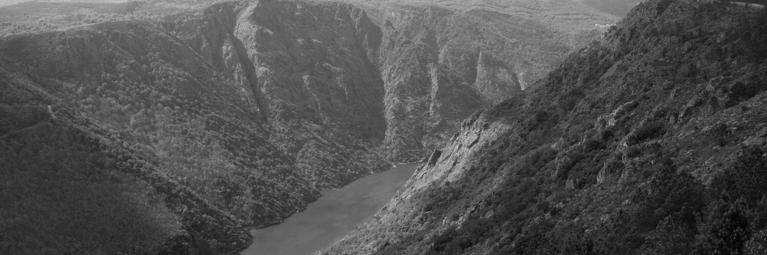 danhauser's profile banner image