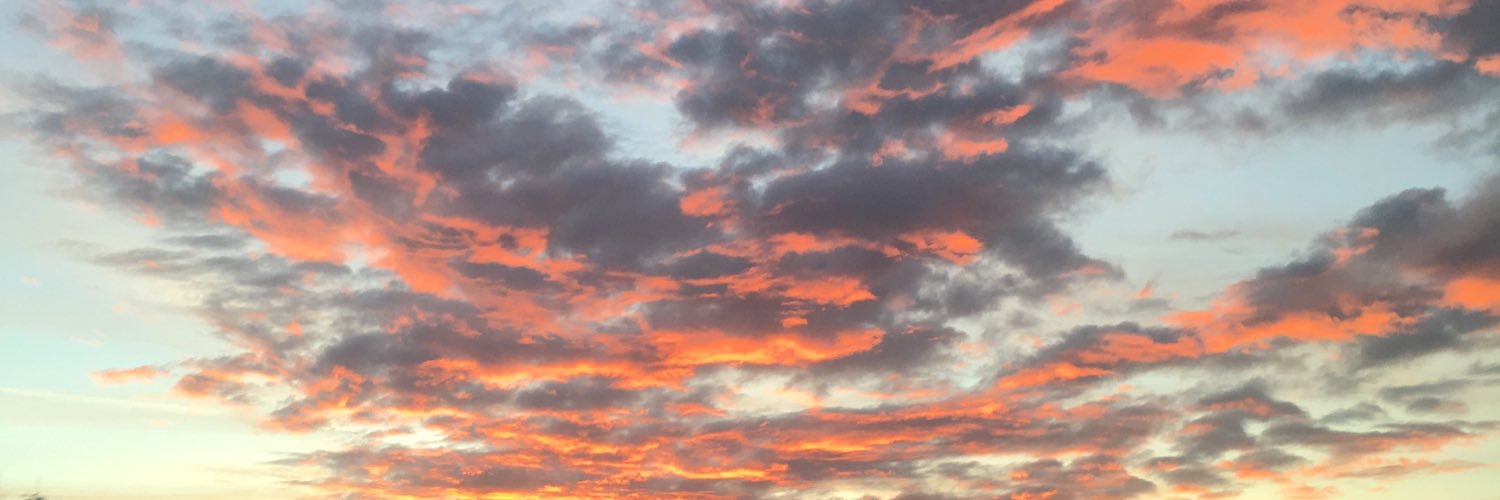 hannahstankus's profile banner image
