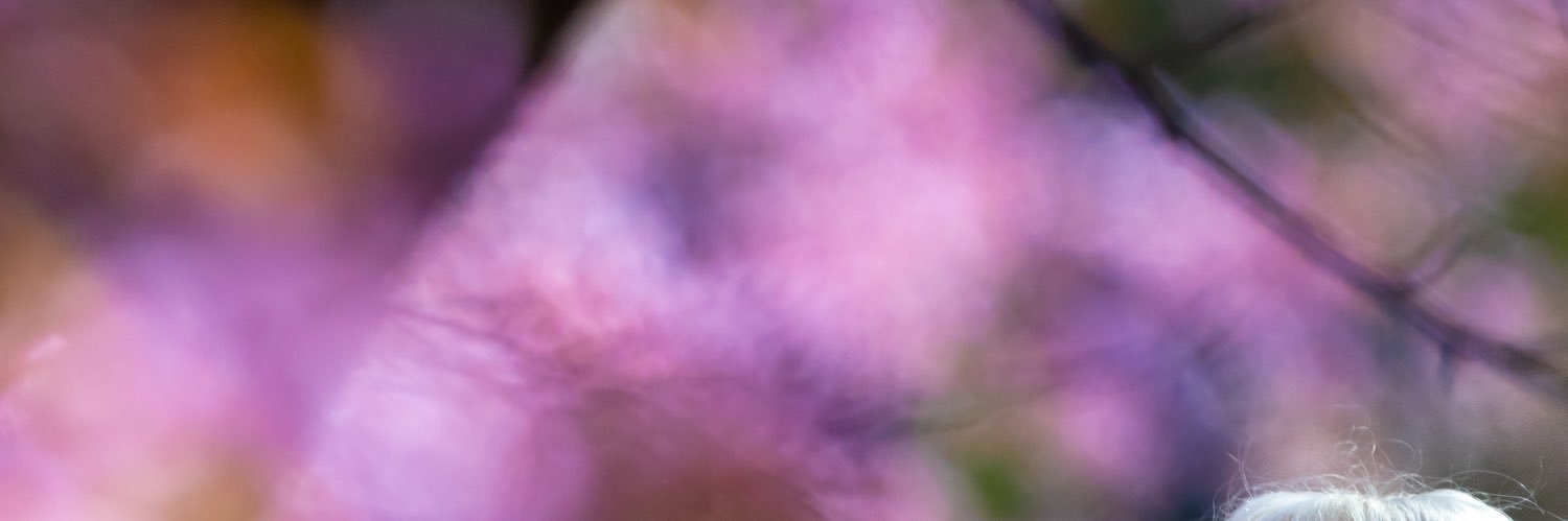 finnishrun's profile banner image