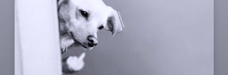 gabilooooo's profile banner image