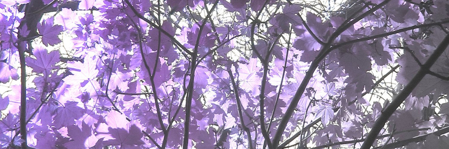 thefairyjo's profile banner image