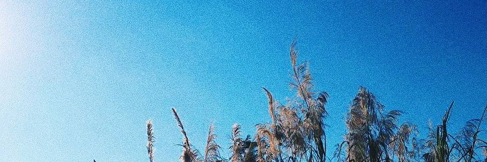 qzippy's profile banner image