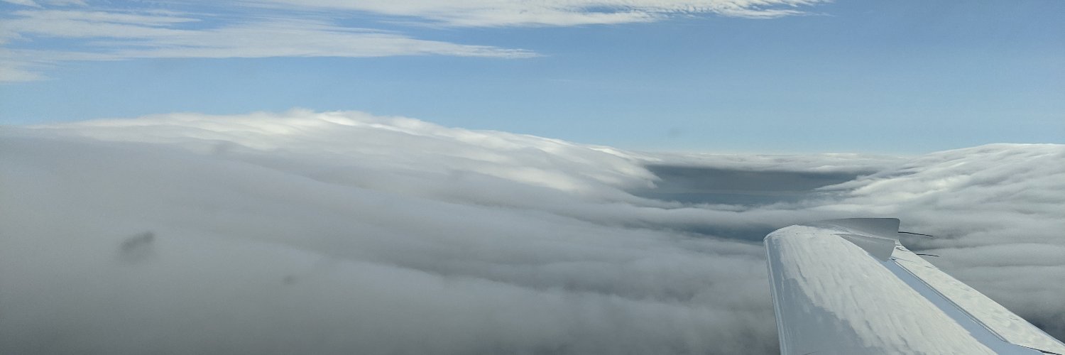 Ross Feinstein banner