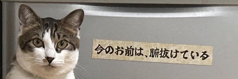霧人 banner