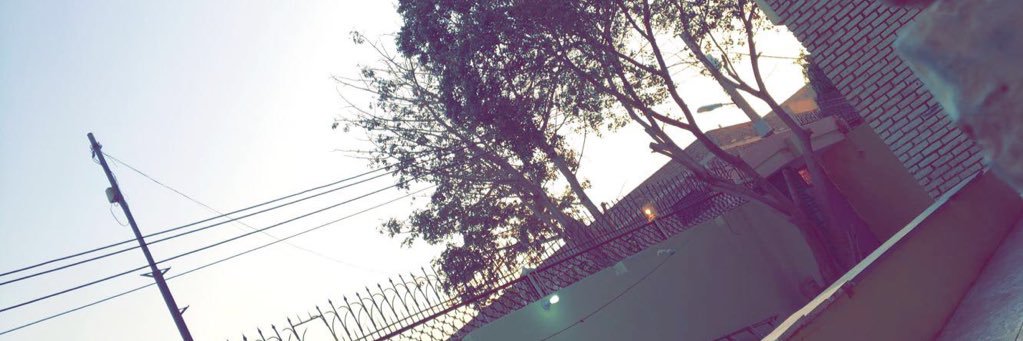 Areej_Bek's profile banner image