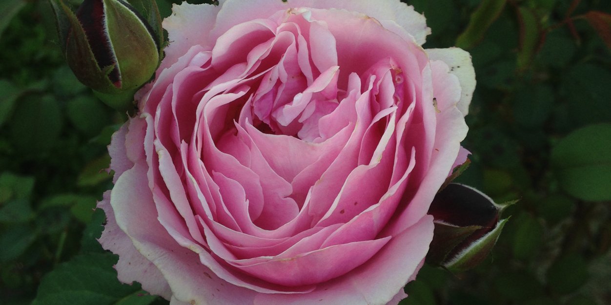 313emma313's profile banner image