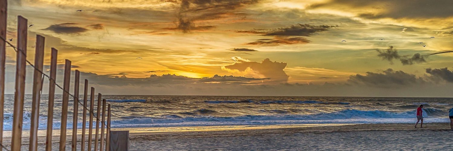 Lisa_Ragusa's profile banner image