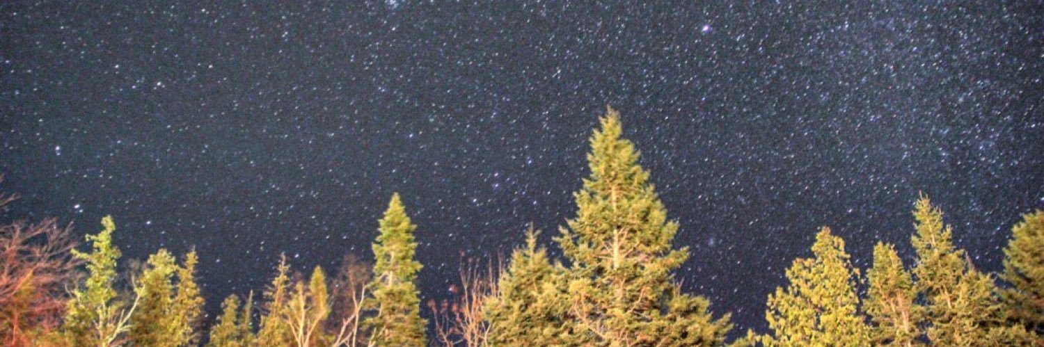 TayBee's profile banner image