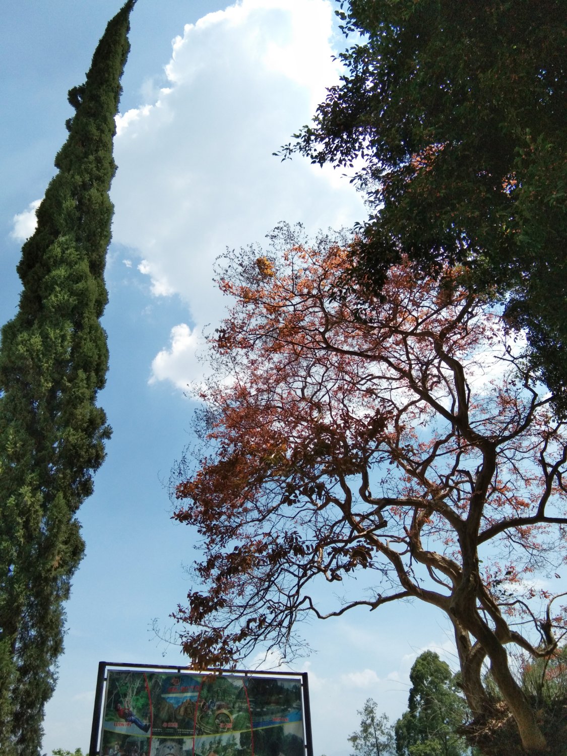 anggsrtka's profile banner image