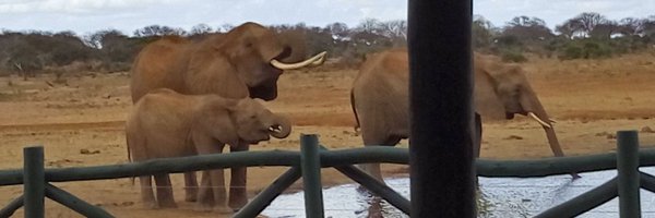 leccs09 Profile Banner