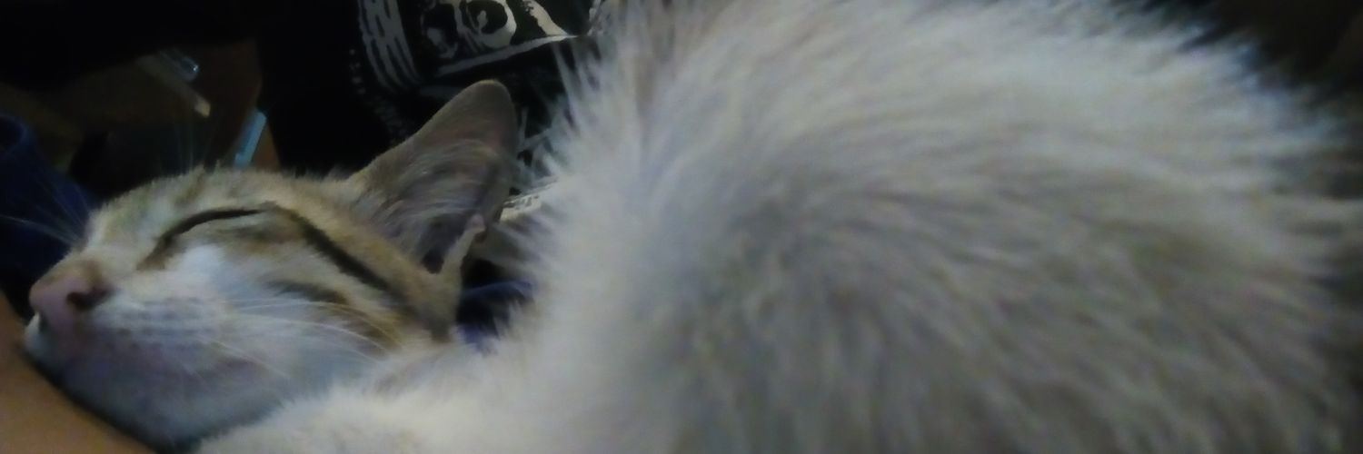 brurzum's profile banner image