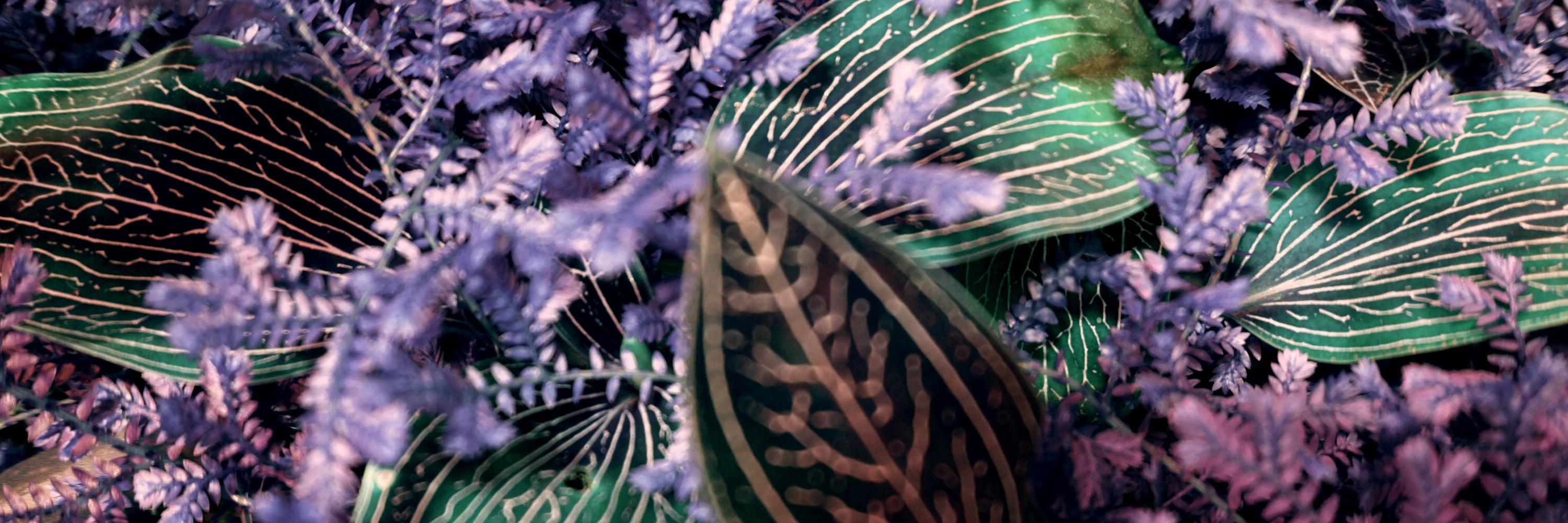 jpvgomez's profile banner image