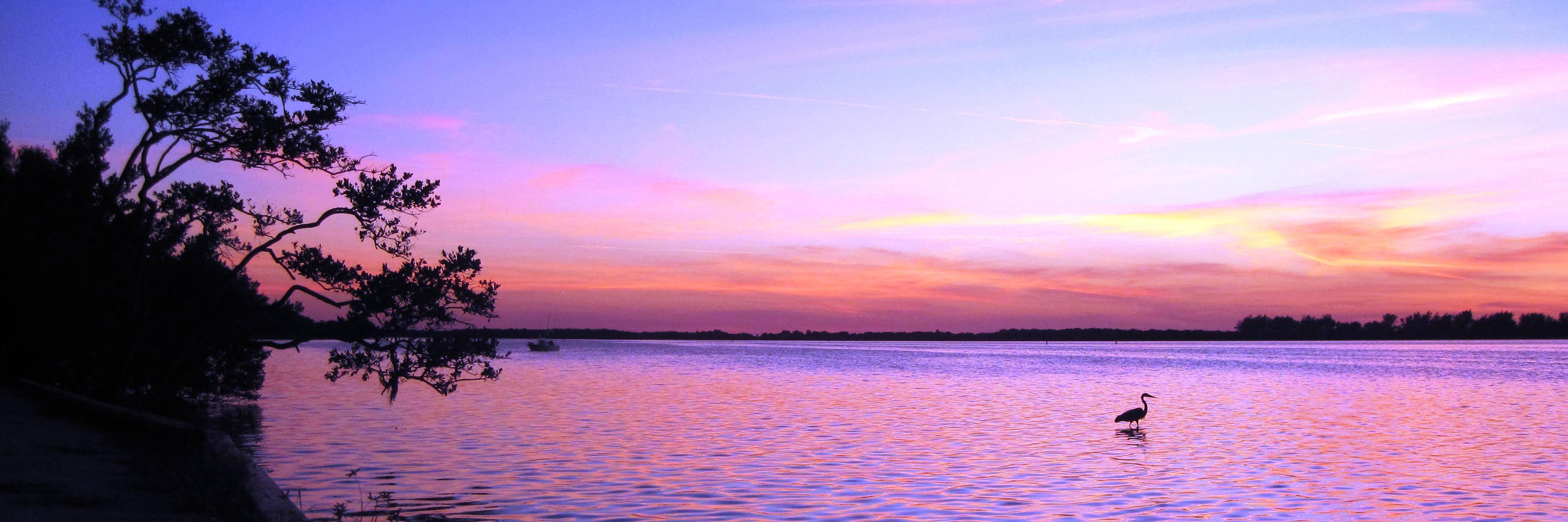 alamby's profile banner image