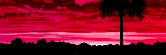 msbitt's profile banner image