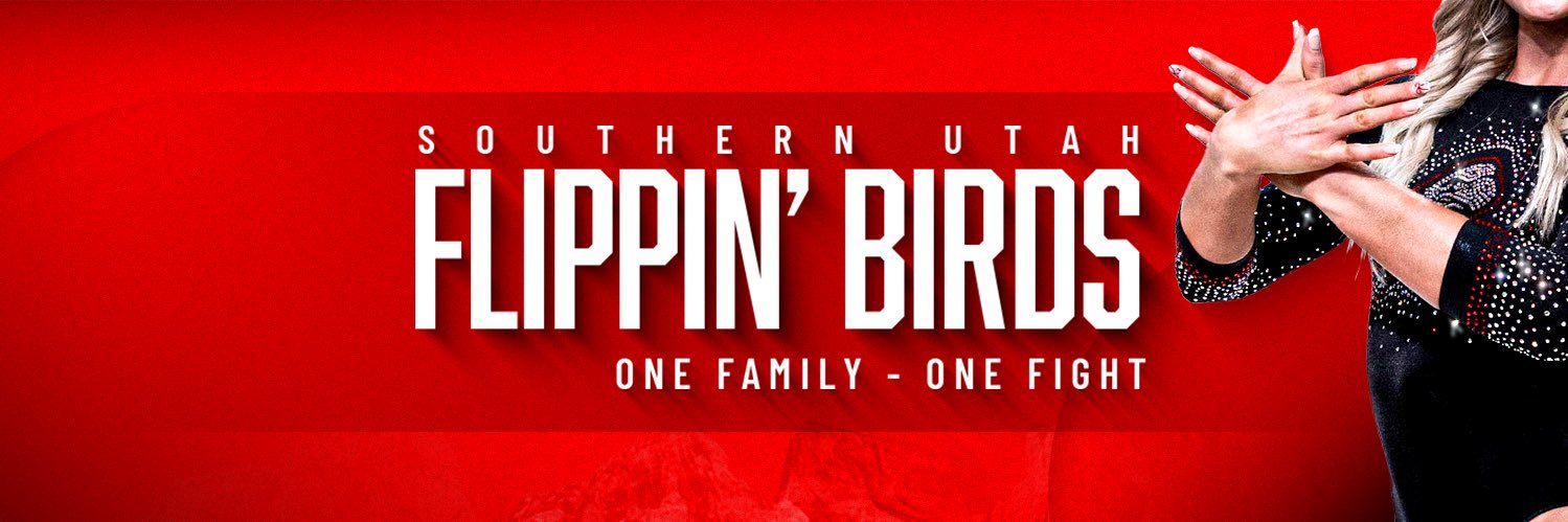 SUU Gymnastics banner